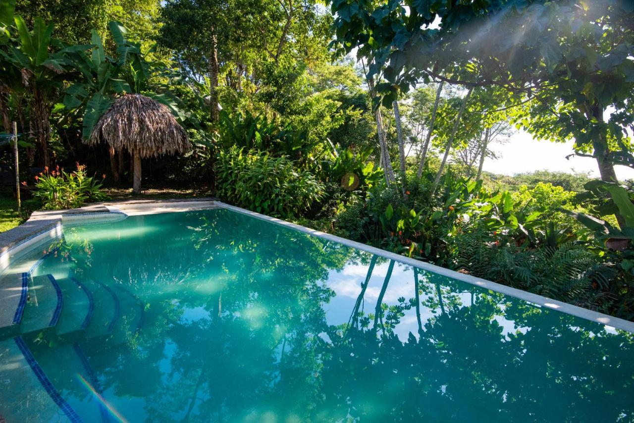 Jungle Lodge At Wild Sun Rescue Center Cabuya  외부 사진